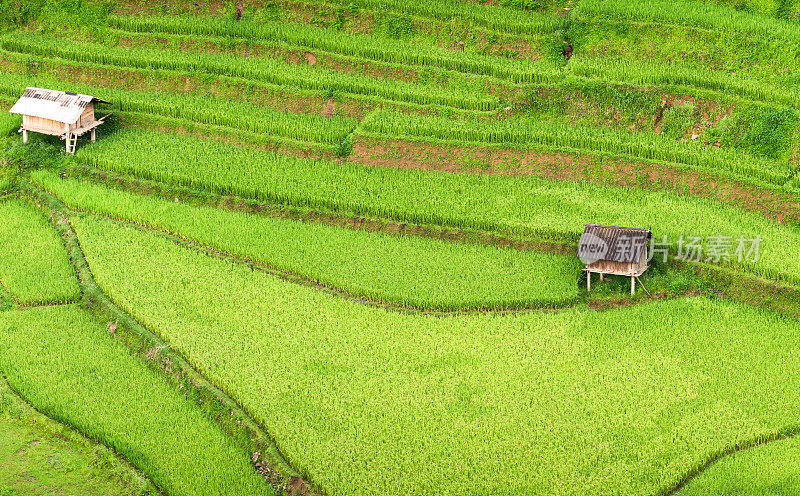 美丽的风景，绿色的稻田准备在越南西北部的梯田日落山在木仓寨，Yen Bai，越南